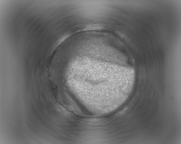 X0000054441401200508121832