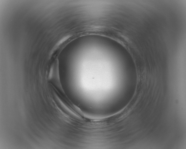 X0000054441402200508121832