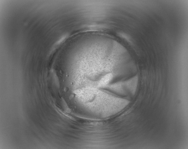 X0000054441403200508121832