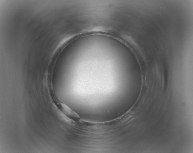 X0000054441404200508121832