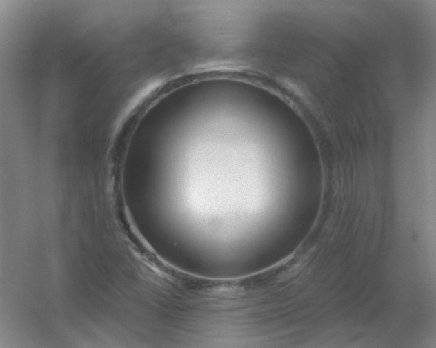 X0000054441406200508121832