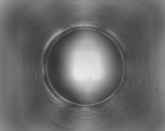 X0000054441408200508121832