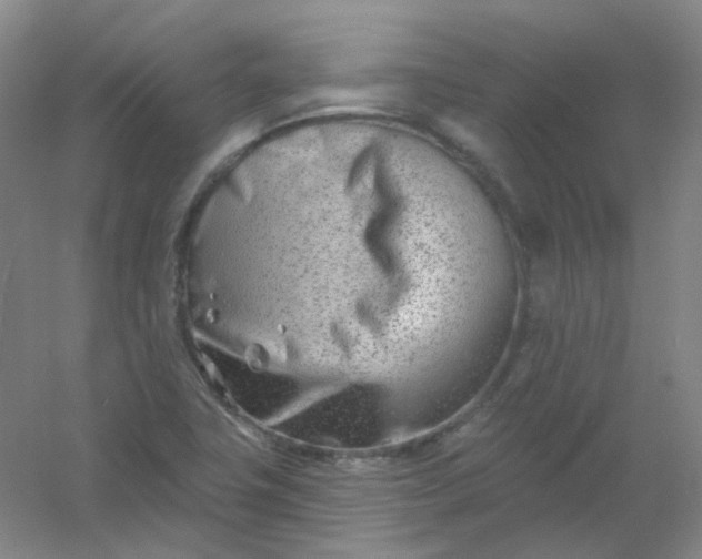 X0000054441411200508121832