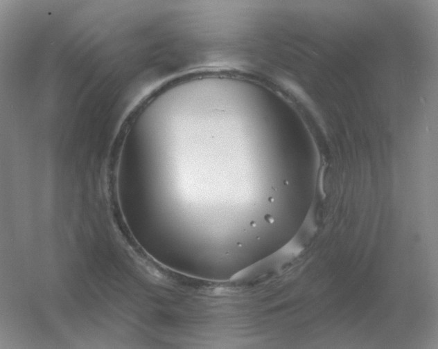 X0000054441412200508121833