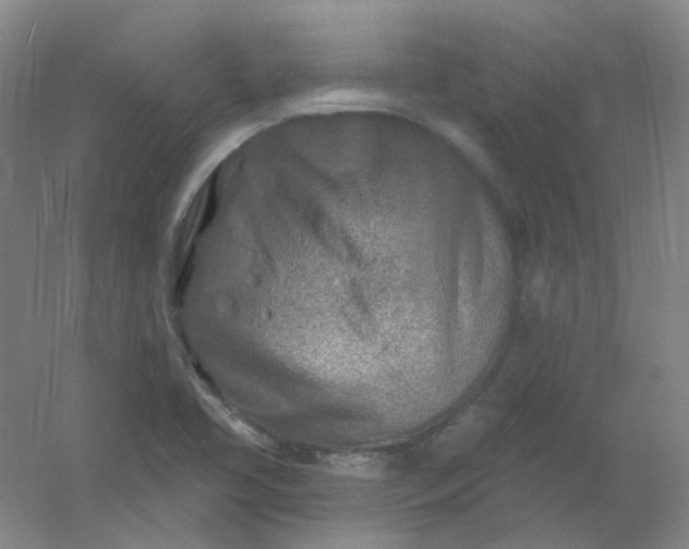 X0000054441413200508121833