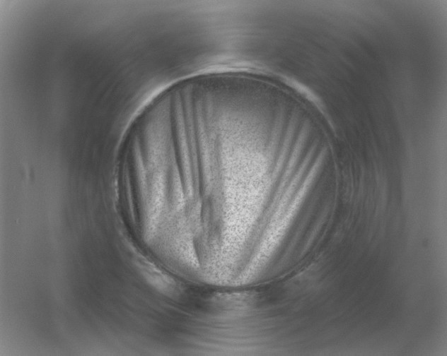 X0000054441415200508121833