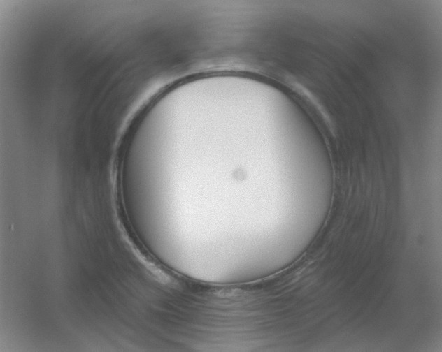 X0000054441416200508121833