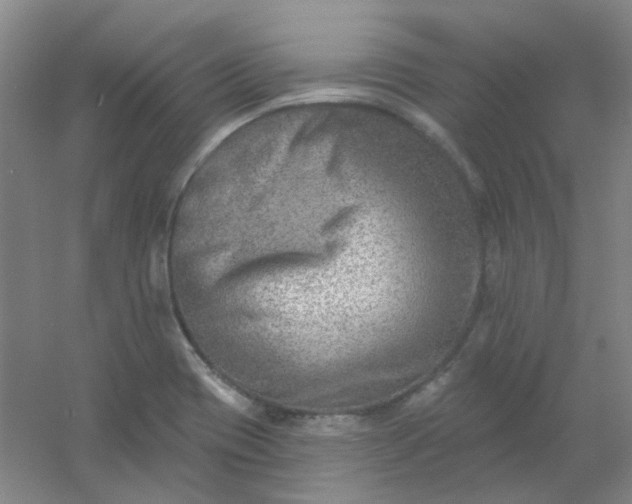 X0000054441417200508121833