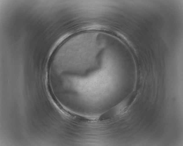 X0000054441418200508121833