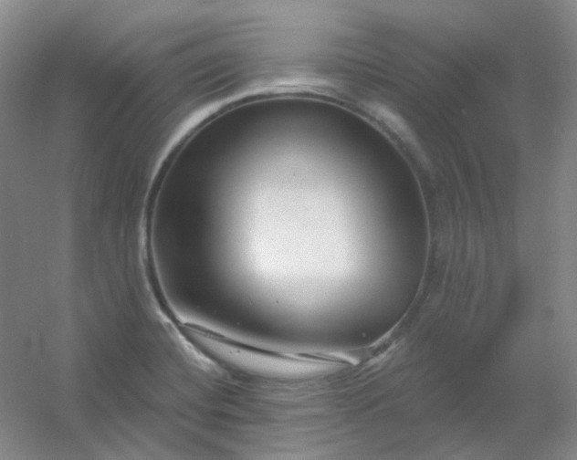 X0000054441420200508121833