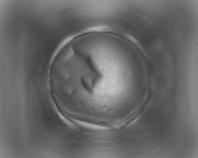 X0000054441421200508121833