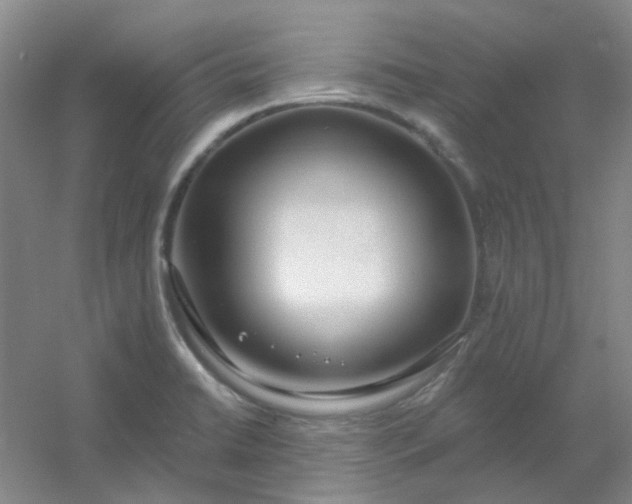 X0000054441422200508121833