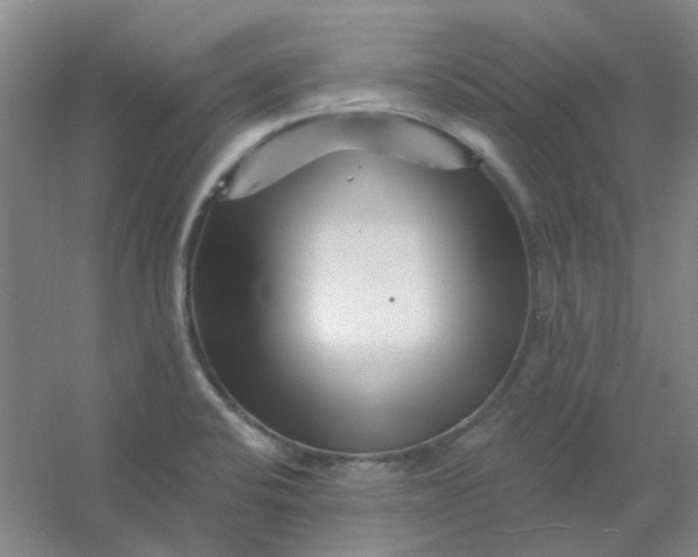 X0000054441424200508121833