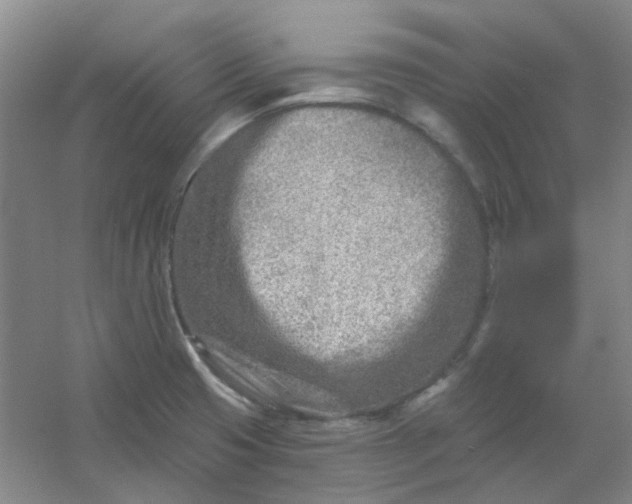 X0000054441425200508121833