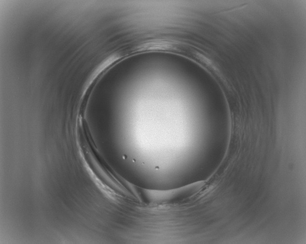 X0000054441426200508121833