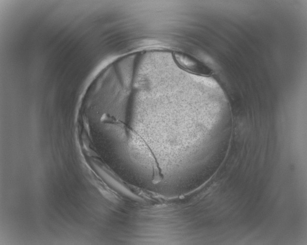 X0000054441427200508121833