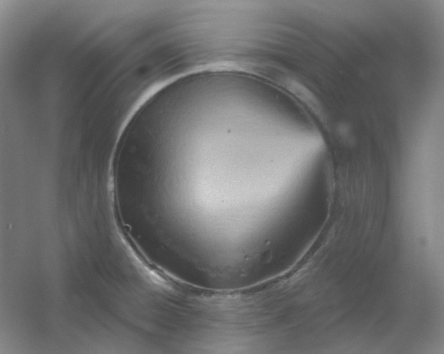 X0000054441428200508121833