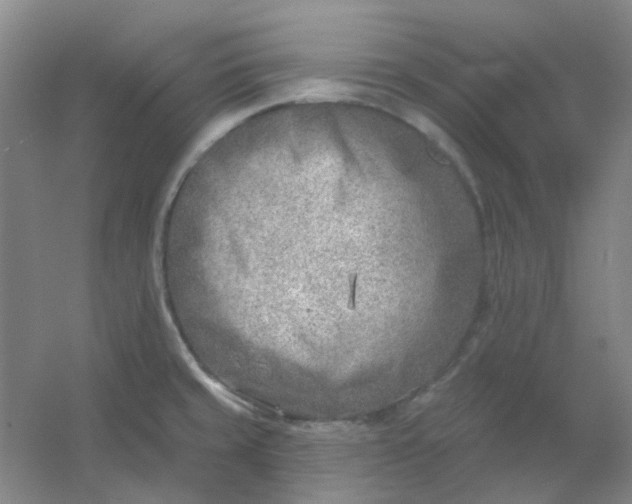 X0000054441429200508121833