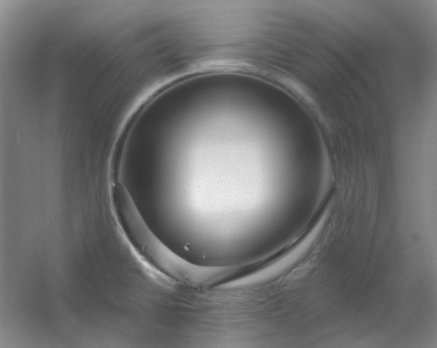 X0000054441430200508121833