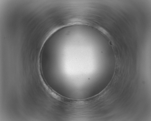 X0000054441431200508121833