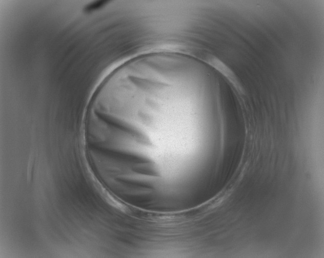 X0000054441436200508121833