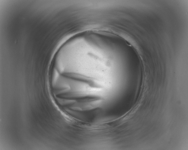 X0000054441440200508121833