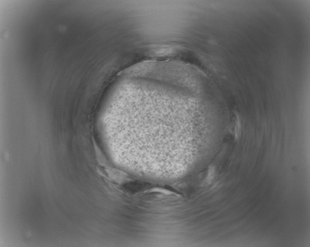 X0000054441441200508121832