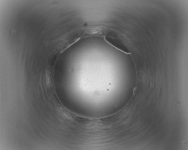 X0000054441442200508121832