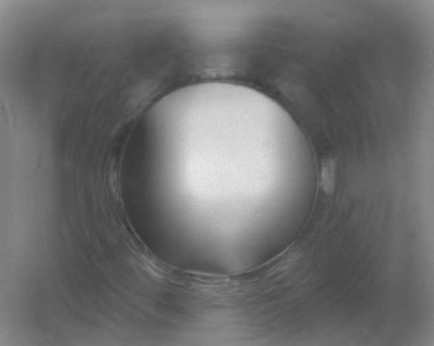 X0000054441444200508121832