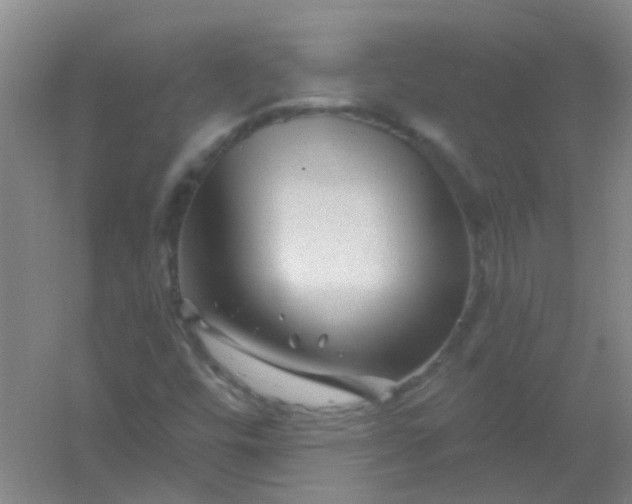 X0000054441448200508121832