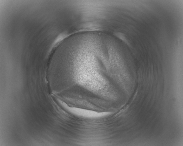 X0000054441451200508121832