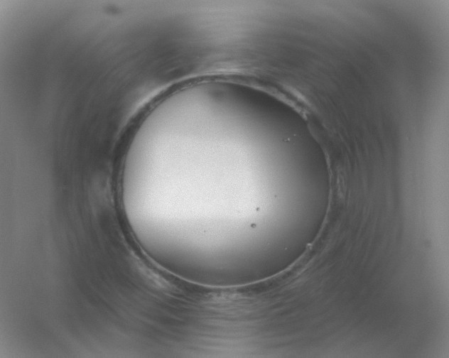 X0000054441452200508121832