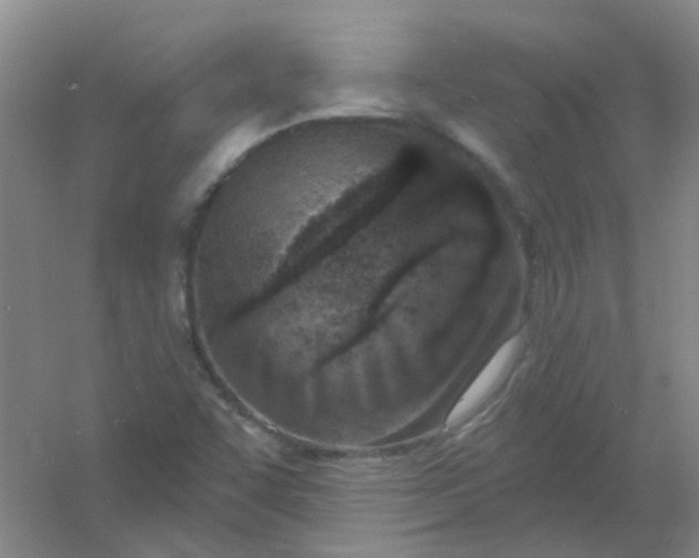 X0000054441455200508121832