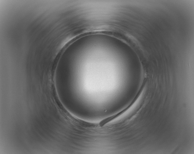 X0000054441457200508121832