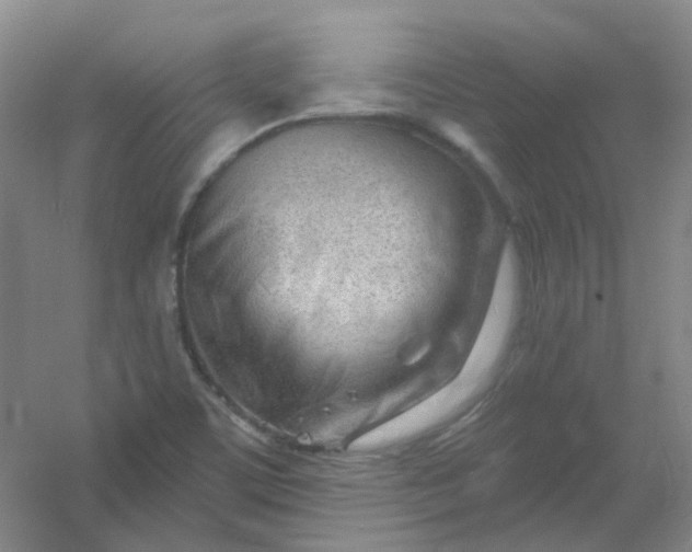 X0000054441459200508121832