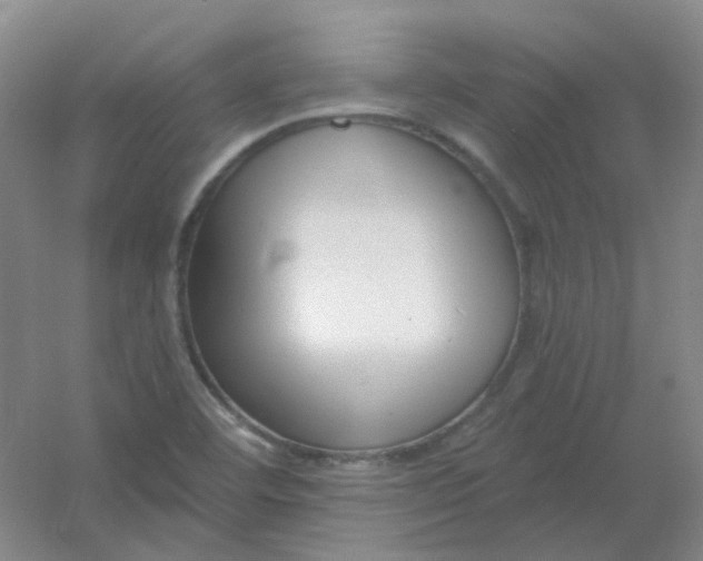 X0000054441460200508121832