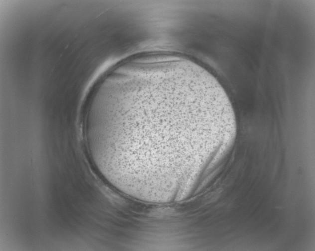 X0000054441462200508121832