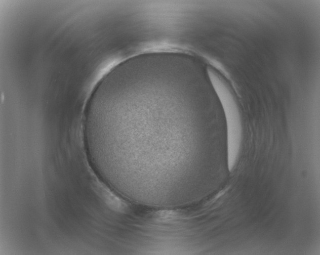 X0000054441463200508121832