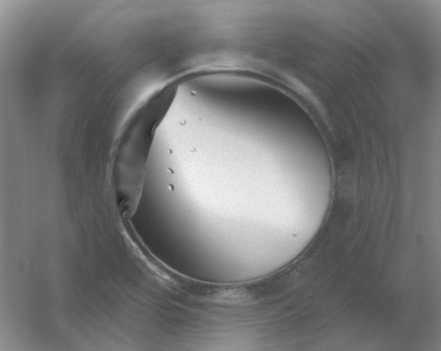 X0000054441464200508121832