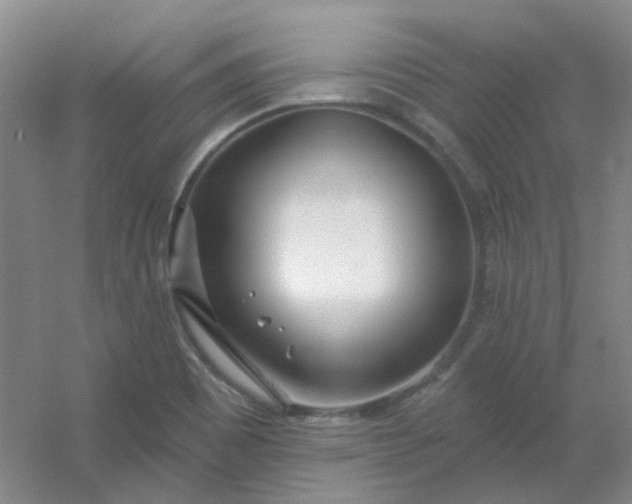 X0000054441465200508121832