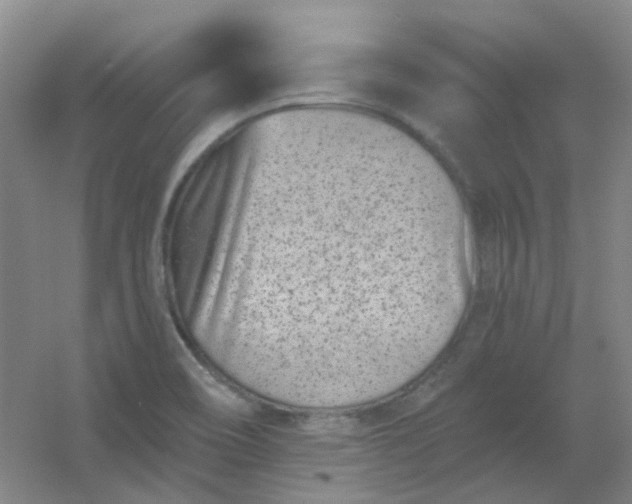 X0000054441466200508121832