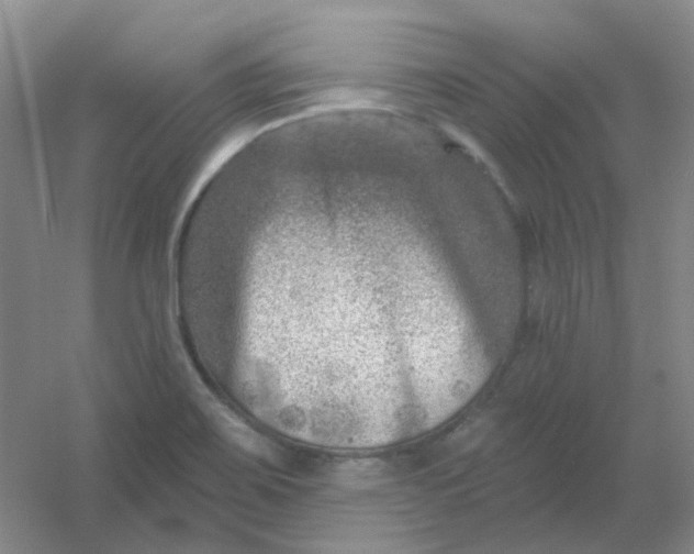 X0000054441467200508121832