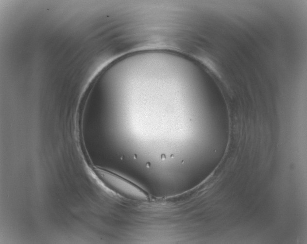 X0000054441468200508121832