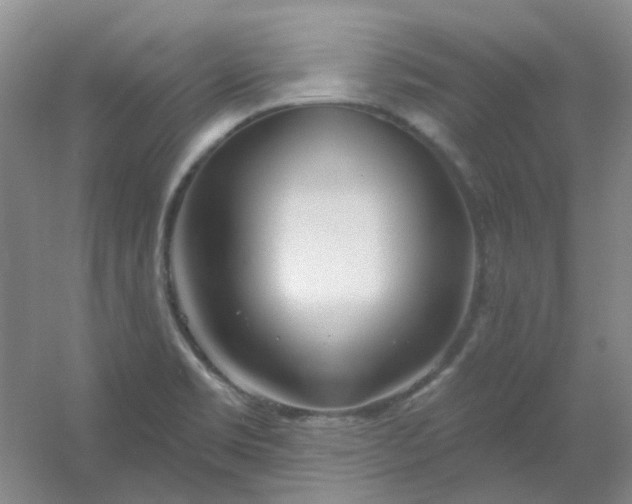 X0000054441469200508121832