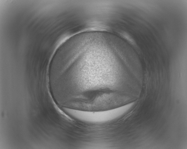 X0000054441471200508121832