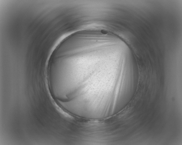 X0000054441478200508121832