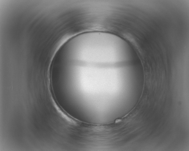 X0000054441479200508121832