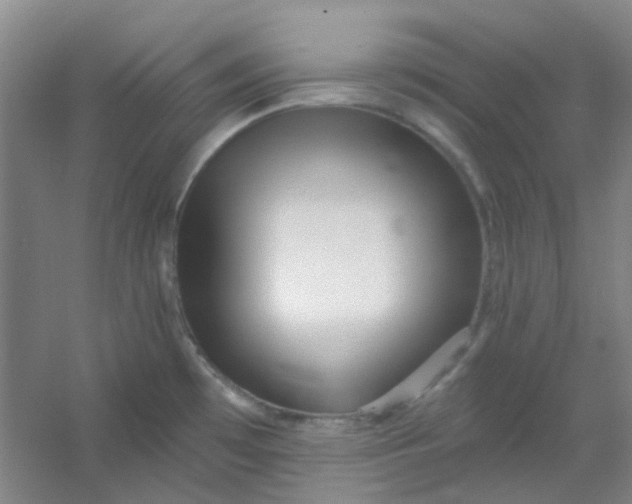 X0000054441481200508121831