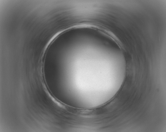 X0000054441484200508121831