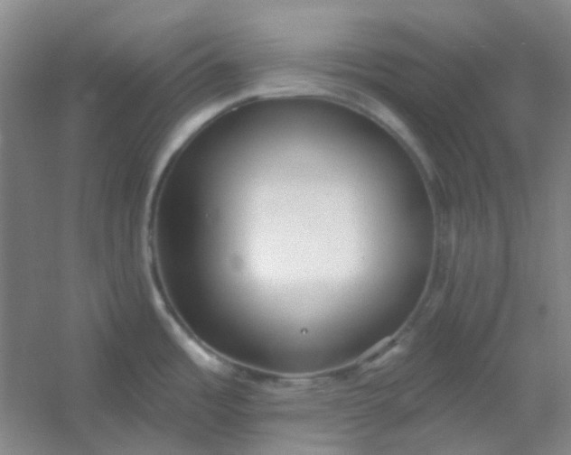 X0000054441485200508121831